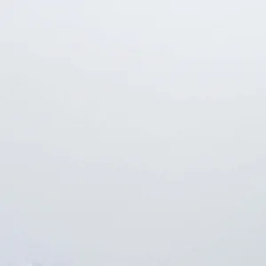 Ice Snow